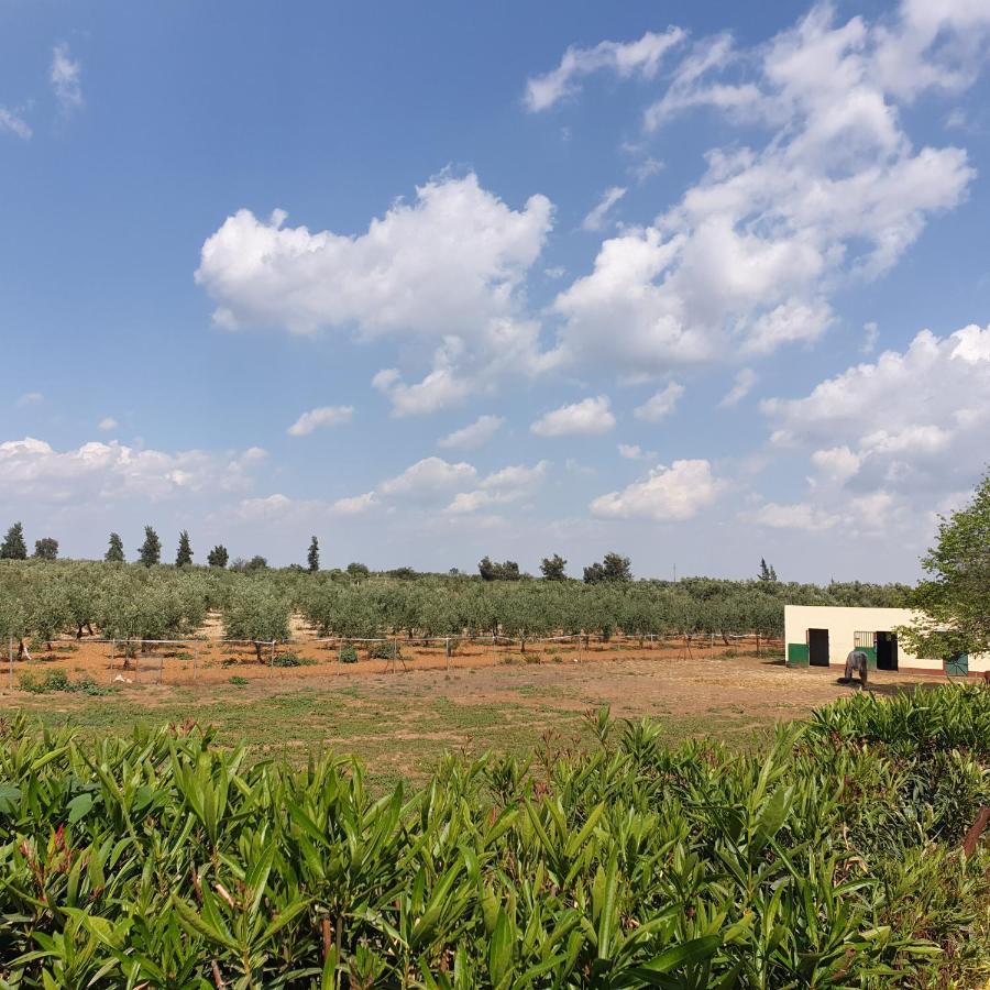Finca-Vallestares Almonte Luaran gambar